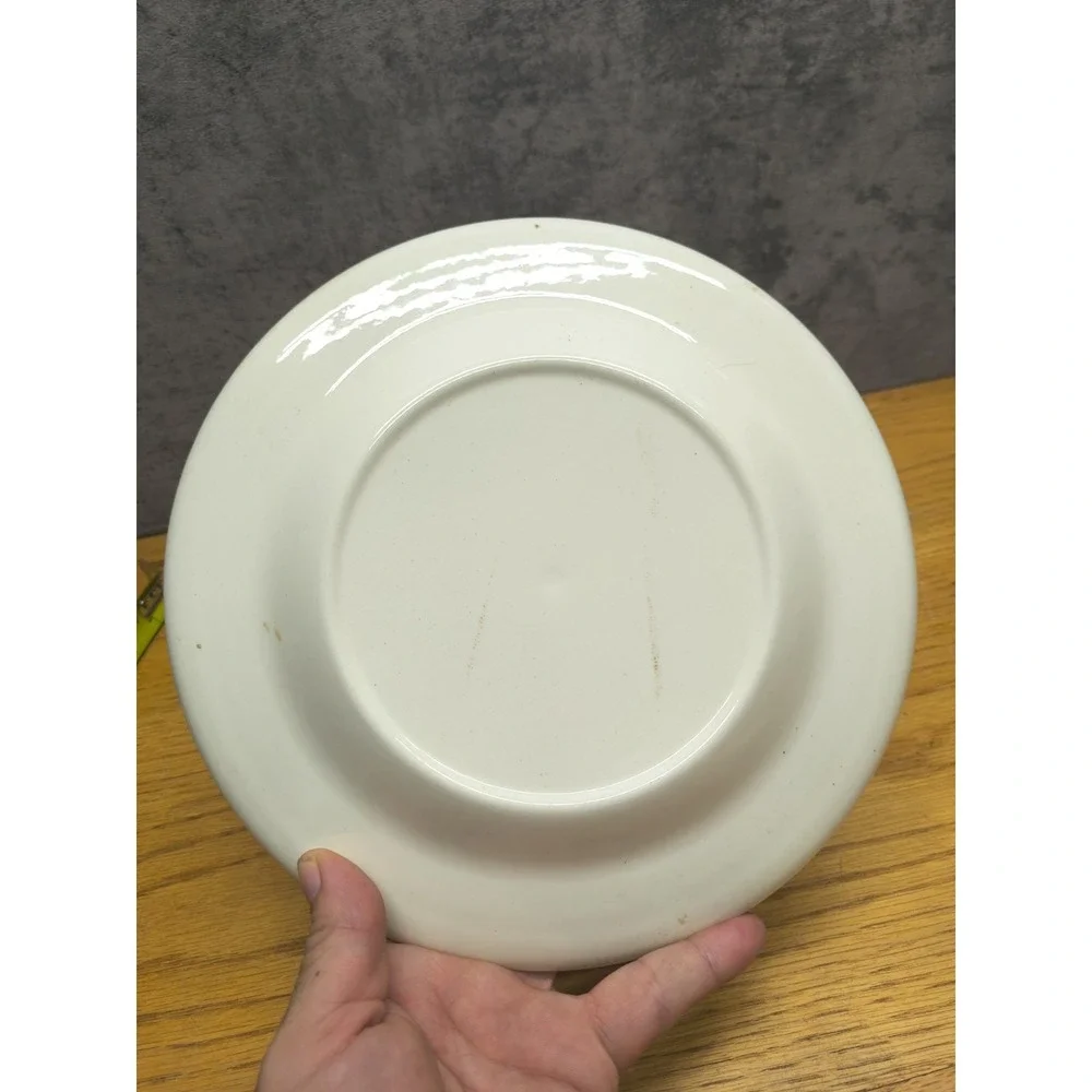 South Carolina Collector's‎ Plate SC History Plate, Palmetto State-9